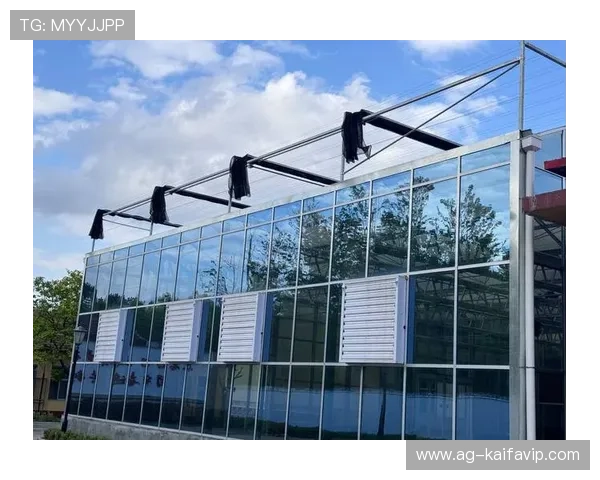 BTI体育：打造智能体育装备引领行业发展的新标杆